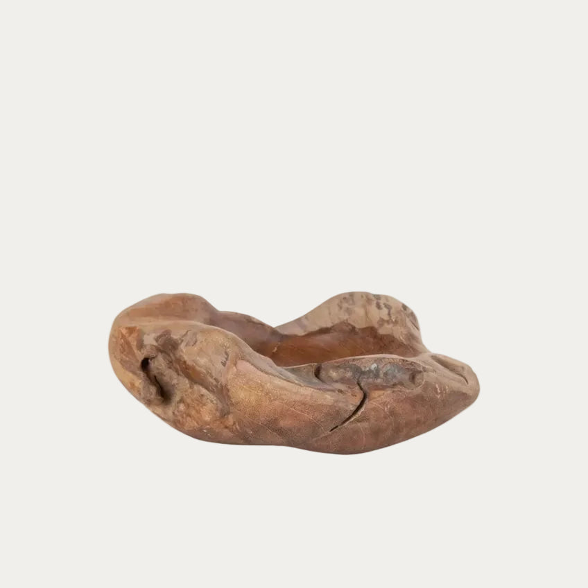 Obst Schale aus teak Holz